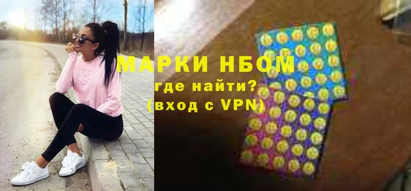 индика Вяземский